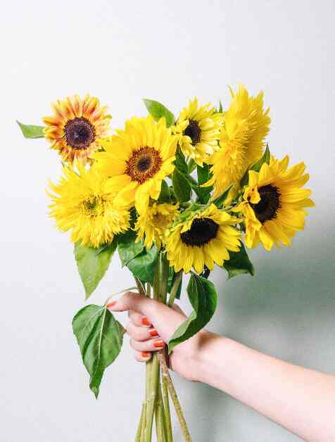 ロスレスブーケ フルーツひまわり