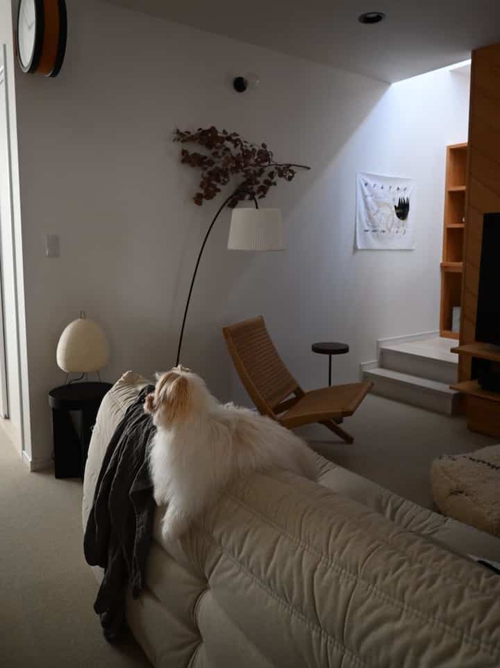 ベージュ色調のリビング、北欧スタイルのソファとアームチェアが配置され、ソファの背もたれに犬がいる自然な雰囲気のインテリア