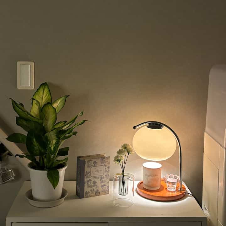 ロフトの階段前の癒し空間🌱💡
初めて観葉植物そだててますが、ディフェンバキアの成長速度すごい笑 

#観葉植物 #キャンドルウォーマー 