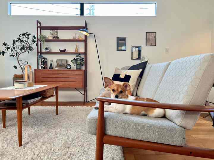 A white and wood tone living room featuring a stylish sofa, a dog lounging, and a floor lamp creating a cozy atmosphere