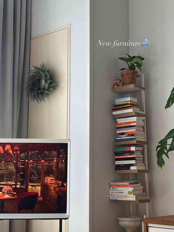 Natural-toned living room featuring a small bookshelf neatly stacked with books, a potted plant, and a plush toy