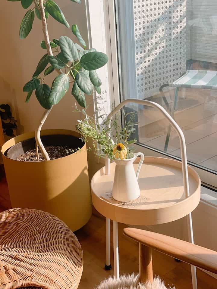 夕方西陽が入るお気に入り空間🌆𐩘
日当たりが一番いい時間でもある。
バルコニーをちら見せ。
エアコンの室外機カバーはホワイトのラタン調🕊️
IKEAのアウトドアスツールは模様と
骨組みの部分の深い緑に一目惚れ。
ずっとグリーンのアウトドア家具
欲しかったんだあ、
（ほんとはHAYのが欲しいんよ、、）
#IKEA #IKEA家具 #バルコニー #バルコニー作り 
#韓国インテリア #北欧インテリア 
#グリーンインテリア 
