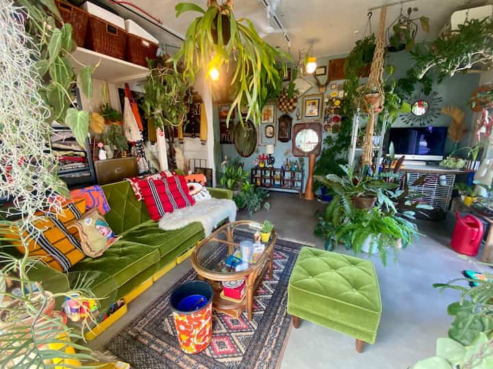 部屋全体で見るとそこまでうるさくない感じ。

余白とそれ以外の密度の差を大きくしてあげることで、物量があってもうるさくなりすぎない空間に仕上げられてるのかな？と最近思い始めました◎
#ミッドセンチュリー #昭和レトロ #ヴィンテージ
#観葉植物 #グリーンインテリア #多国籍インテリア
#カリモク #リビングインテリア #ロビーチェア