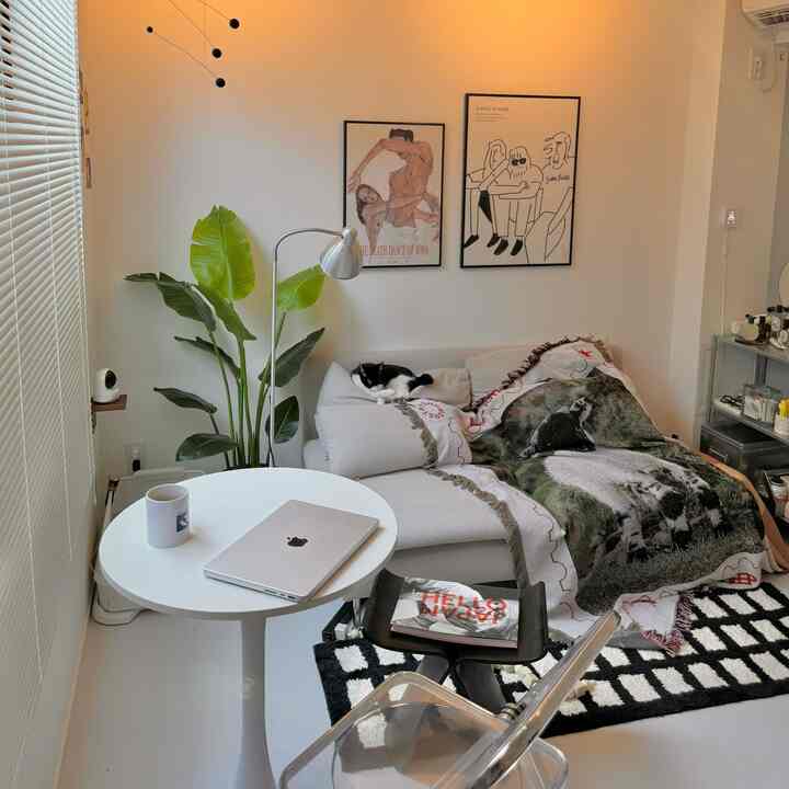 good morning 〜🧺‪🔆‬
猫様の定位置はソファです🐈‍⬛

#ソーデルハムン #猫のいる生活 
#猫がいる暮らし #一人暮らしインテリア 
#イケアソファ #イケア #ブラインド 