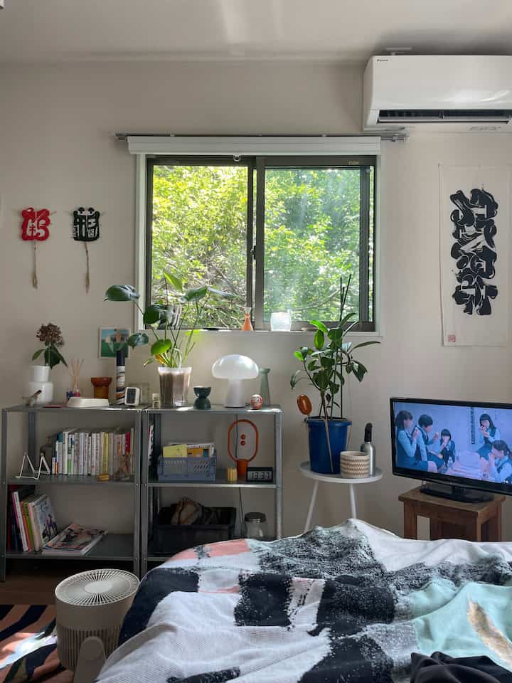White-walled bedroom with natural light, metal shelves, and plants in a cozy single household space