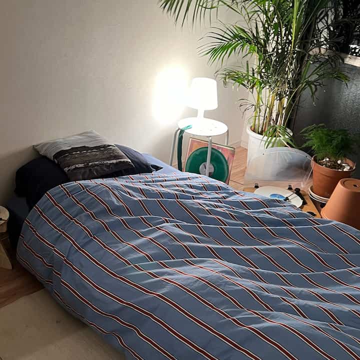 青のストライプ掛け布団が掛かった一人暮らしの寝室、テーブルランプと植物が配置された温かみのあるナチュラルモダンな空間