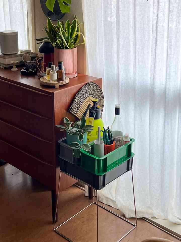 ブラウンの木製チェストとグリーンの収納ボックスが配置された自然な雰囲気のコーナー空間