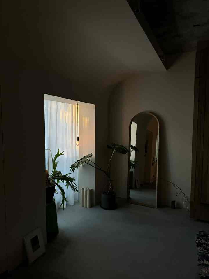 Modern entrance space with smooth arched ceiling, white walls, gray mortar floor featuring large mirror and plants arranged near window