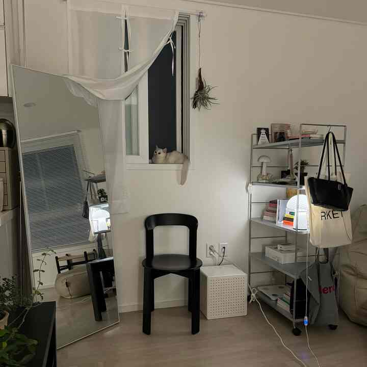 白と黒のトーンでシンプルかつナチュラルなリビングルーム、窓辺に猫がいる印象的な空間