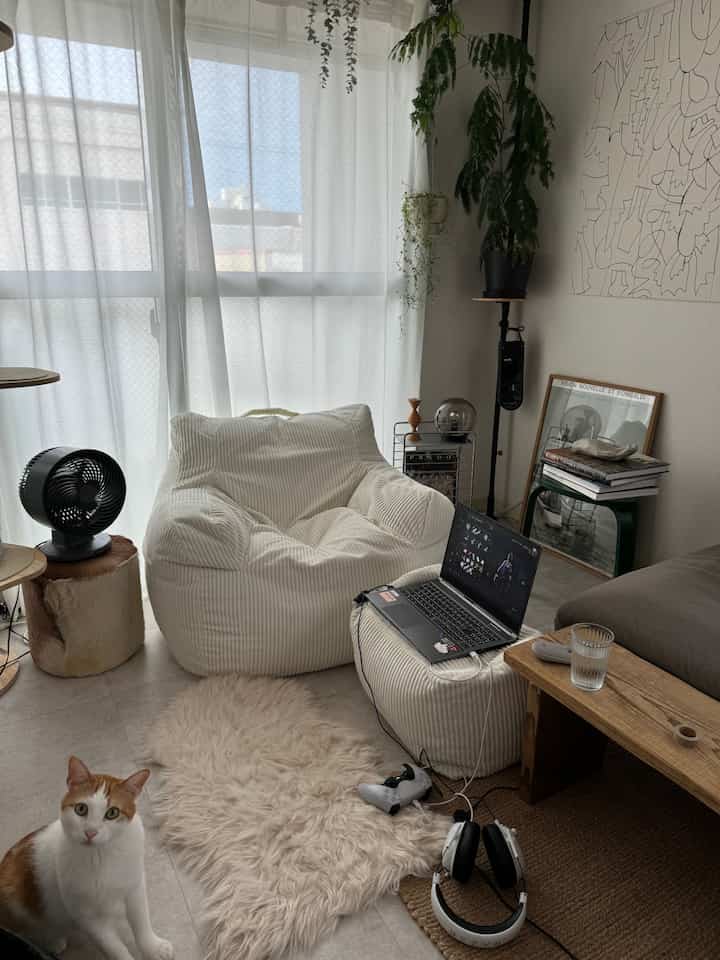 White and natural toned living room for single household featuring bean bag, plants, and a cat in a cozy setting