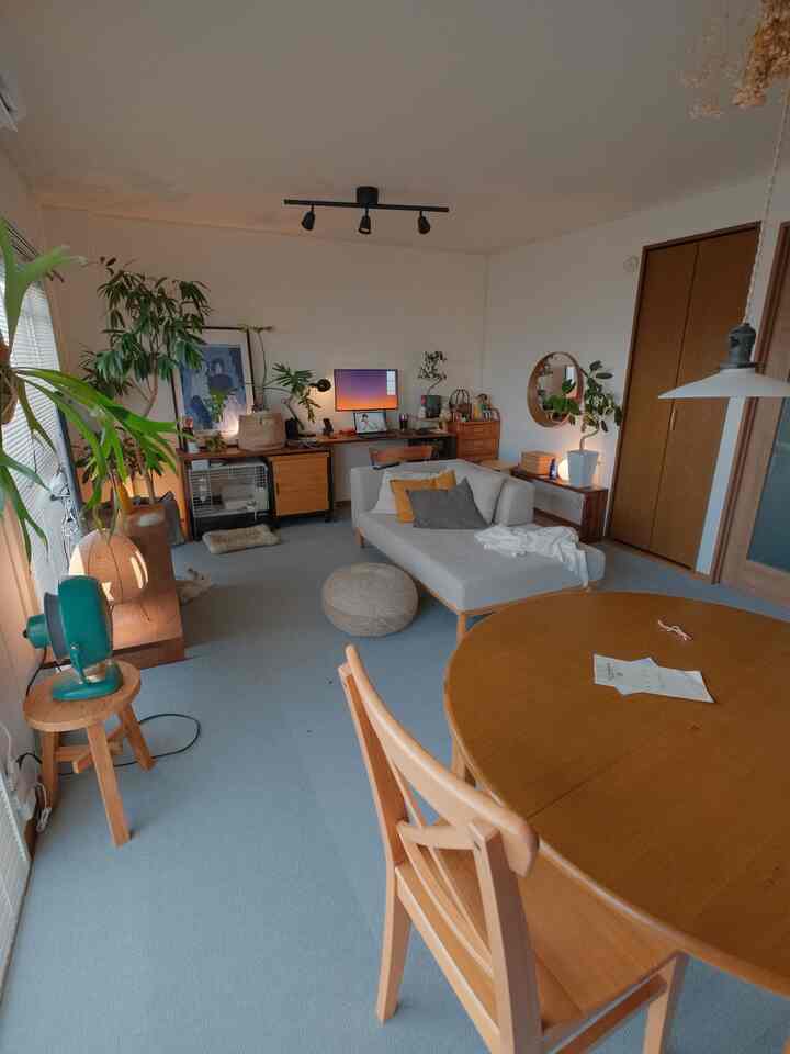 Natural-toned living and dining room featuring a sofa and wood tone dining table with a cozy atmosphere