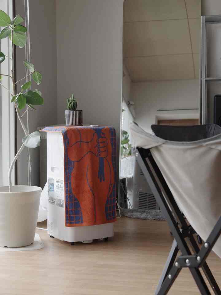 ホワイトと木目調のナチュラルな狭い部屋、キャンバスチェアと植物が配置された雰囲気のあるインテリア