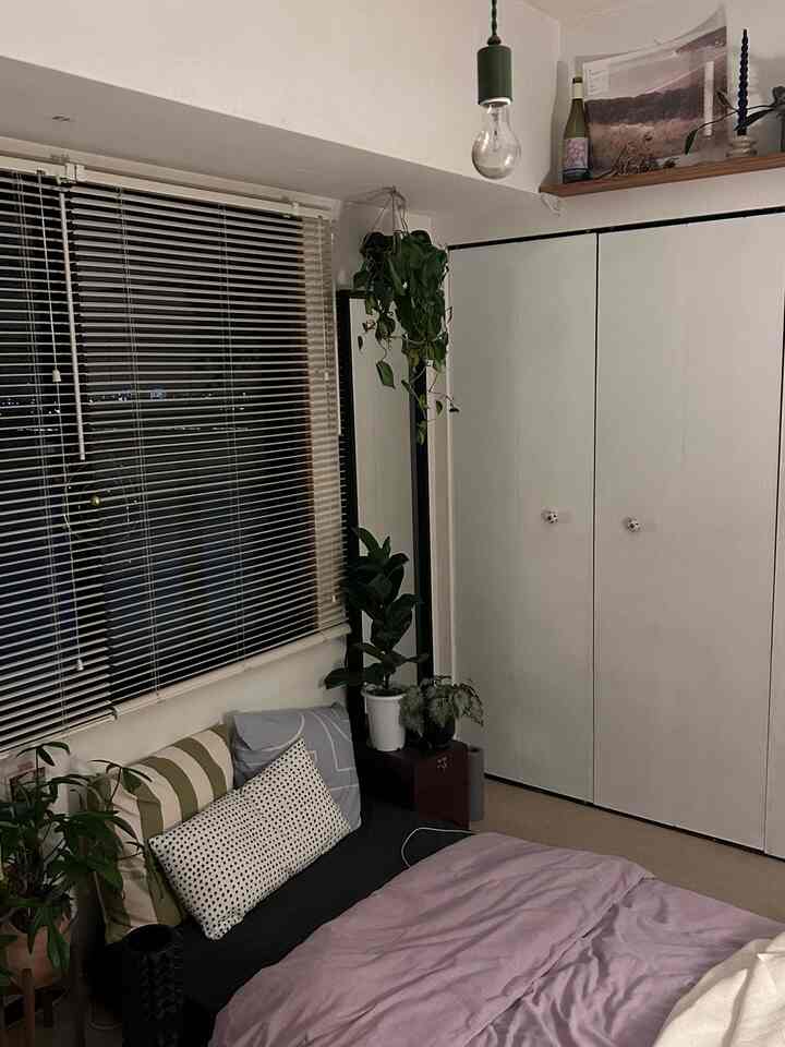 Night Time🌙

#Houseplants #マイルーム #ベッド周り #部屋作り