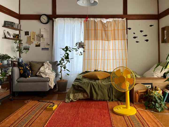 Cozy single household living and bedroom space in warm yellow and natural brown tones, featuring sofa, bedding, and plants enhancing comfort