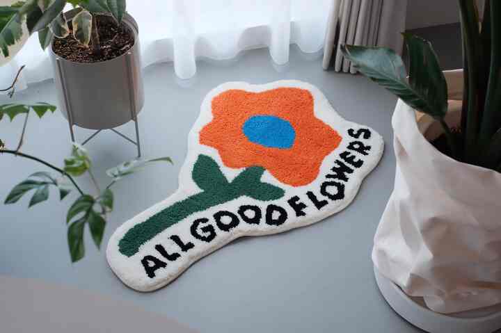 新しいラグ買いました🙌🏻三好ラグっぽいなーと思ってたら本当に三好ラグでした笑 植物コーナーに良いアクセントができて嬉しい☺️ #三好ラグ