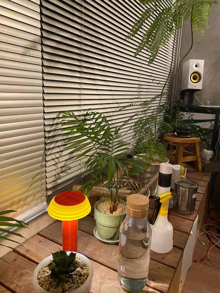 夏は植物がぐんぐん育つなー🌱🌱🌱

#コンクリート打ちっぱなし #コンクリート #ルームツアー #ルーム #お部屋紹介 #1人暮らし #インテリア #韓国インテリア #roomdesign #room #plants #morningroutine 