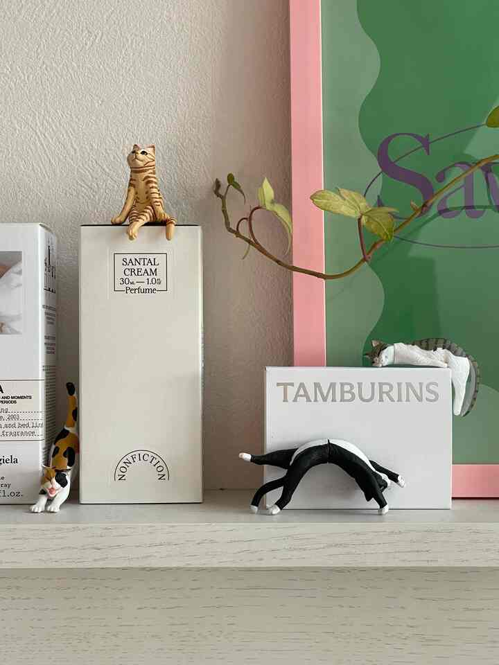 旦那さんがガチャガチャにハマり、
いつのまにか増えたネコたち🐈🐈‍⬛

カワイイ…😂🩵

#ワンルームインテリア #二人暮らしインテリア #韓国インテリア #カラフルインテリア #セルフインテリア #원룸 #원룸꾸미기 #원룸인태리어