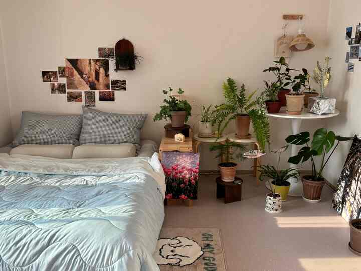 Zona kamar tidur dan tanaman di satu tempat 🏡
Meski dikatakan ada dua kamar di sebuah bangunan tua, saya pikir ruangan besar itu hanya bisa menjadi kamar tidur dan ruang tamu. 
Saya mengisi ini dengan semua hal favorit saya!

Di kamar tidur, mulai dari selimut hingga bantalan dan bantal terasa sejuk sehingga membuat Anda bisa tidur dengan nyaman. 

Ruang di sebelahnya diberikan kepada tanaman! 
Saya terutama meletakkan permadani karena saya tidak ingin melihat lantai yang jelek. 
Di musim panas, kami menghiasinya dengan dekorasi agar lebih sejuk dan mudah dibersihkan 

Saat matahari terbit di pagi hari, pemandangan ini membuatku bahagia ☘

#Taman Hari Ini #Kamar Tidur #Ruang Tamu #Tempat Tidur #Selimut Musim Panas #Zona Nyata #Kehidupan Nyata #Rencana Interior #Hiasan Dinding #Hiasan Dinding #Interior Dinding #Rak Dinding #Penutup Pot #Pemegang Pot Tanaman Kayu #Pra-Jual #Ikuti-Jual #Dekorasi Rumah #Interior #Deco Tile #rug #lighting 