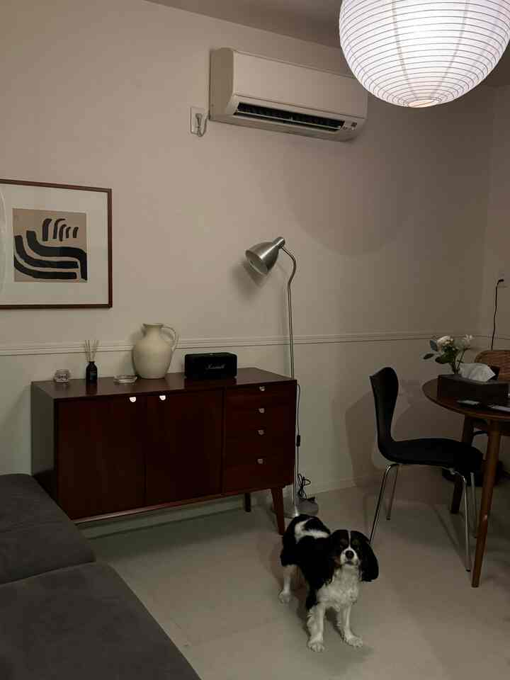 ナチュラルなブラウン調のリビング、ダークウッドのキャビネットと椅子、モダンで落ち着いた雰囲気の中に黒白の犬がいる空間