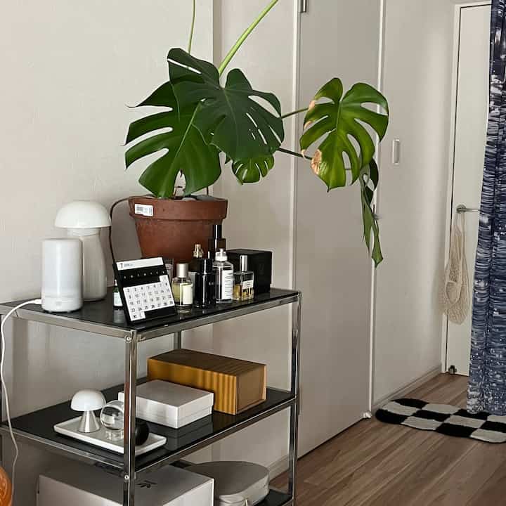 インスタでよく質問をいただくこちブラックのラックは原宿のセローテアンティークスというお店で購入しました。どうやらドイツ製のビンテージ品とのことです。

ここにはお気に入りの香水や雑貨を並べて遊んでいます。☺️

#ビンテージ #ビンテージ家具 #バウハウス #ミッドセンチュリー #北欧インテリア 