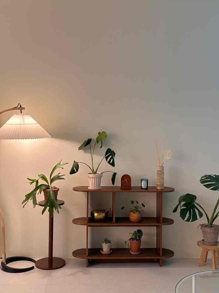 ナチュラルな色調のリビング、木製の棚と多様な植物が配置されたシンプルで落ち着いた雰囲気のインテリア