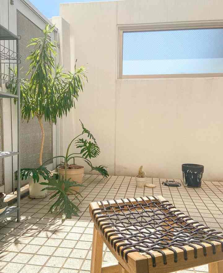 植物がぐんぐん成長🪴

#バルコニー #IKEA #植物 #セローム
　

