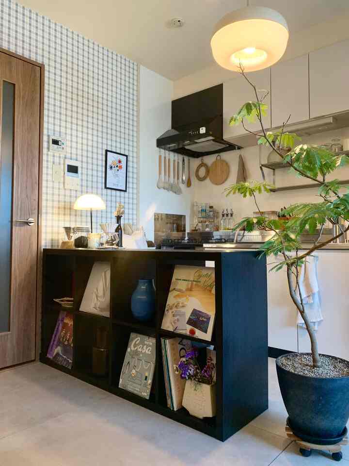 キッチンのBEFOREAFTER🛋🪴

今月で入居してから1年が経ち、2枚目が入居したての何も無い時の様子です〇
キッチン用品を選ぶ際に、アイリスオーヤマのキッチンツールセットがとても良かったです◎
持ち手のところに穴があって磁石で吊るすことができるし、
何を買ったらいいか分からない暮らしたての時も必要なものがほぼ全て揃うのですごく便利でした✨


#アイリスオーヤマ #キッチン用品 #キッチン家具 #キッチン間接照明 #キッチン間取り #キッチン壁 #キッチン整理 #キッチンツール #築古マンション #賃貸マンション