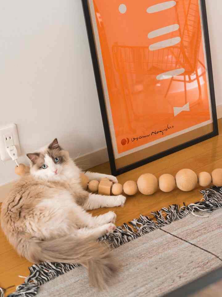 ナチュラルカラーの床とオレンジ色のポスターがあるリビングに猫が横たわる雰囲気のある空間