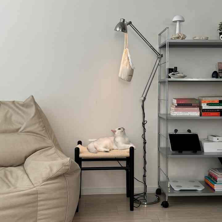 ナチュラルな色調のリビング、ベージュのビーンバッグと黒いスツールの上に横たわる白い猫がいるミニマルなフロアランプ付き