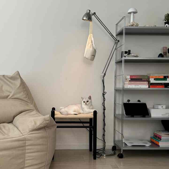 白い壁とベージュのビーンバッグソファ、黒い棚とスツールの上に猫がいるナチュラルな雰囲気のリビングルーム