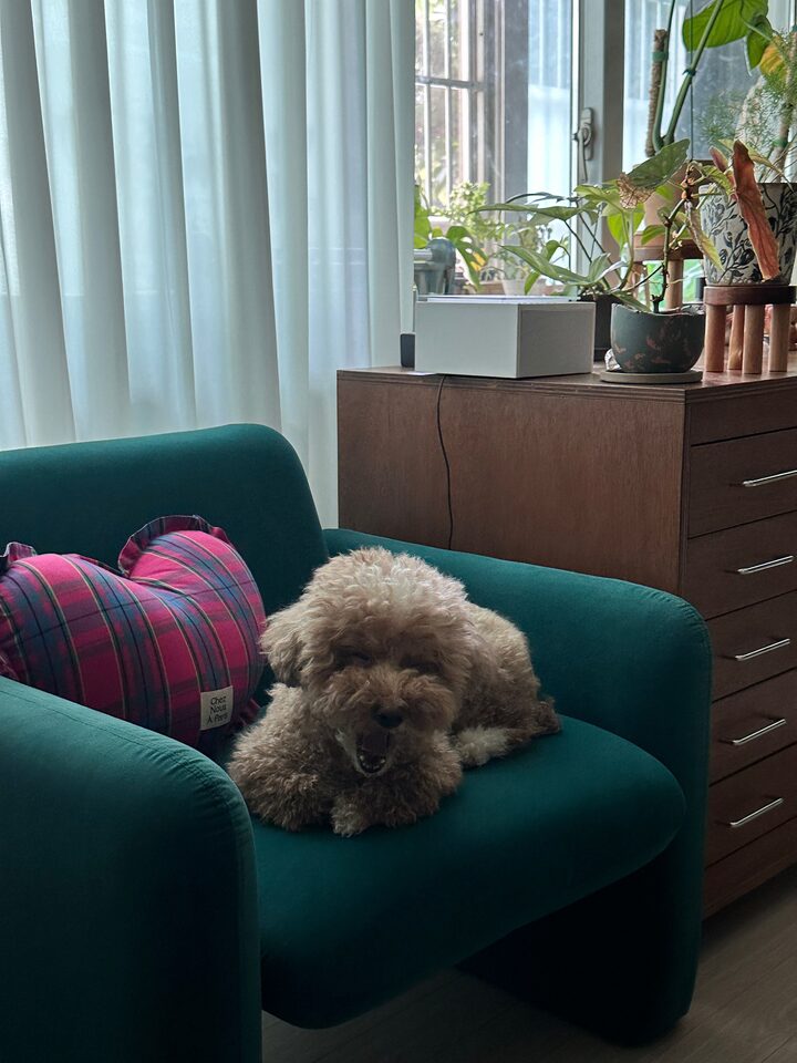 short form carousel card thumbnail