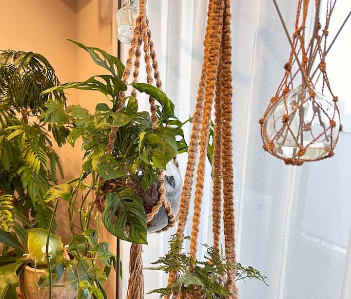 雷がすごかった〜⚡️⚡️
夏は観葉植物の成長がすごい🌱
.
#マンションインテリア #マンション暮らし
#マンションリビング #観葉植物
#観葉植物のある暮らし #ハンギング
#ハンギング植物