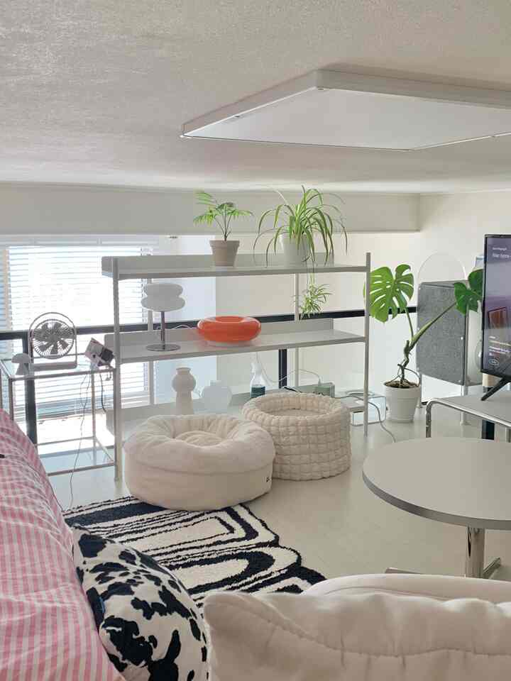 白を基調としたワンルームのリビング、モジュール式棚と丸いペットベッド、植物が配置された清潔でモダンな空間