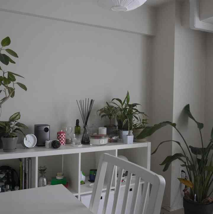 #IKEA
#白インテリア
#韓国風
#観葉植物