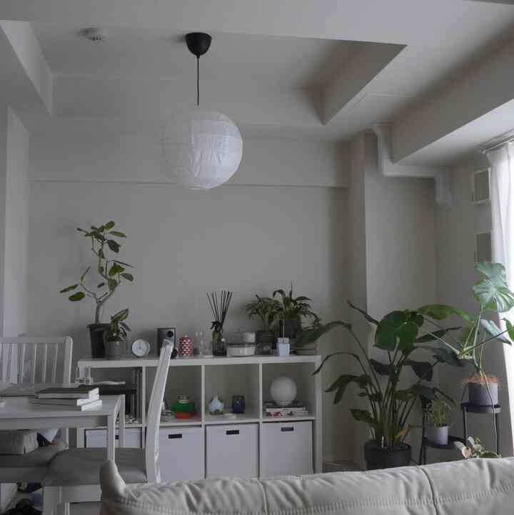 白ベースのリビングもう少し色物取り入れたいな
#白インテリア
#IKEA
#家具
#観葉植物
