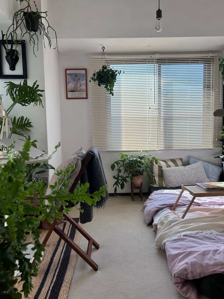 朝☀️
　　
#部屋インテリア 
#観葉植物 
#マイルーム