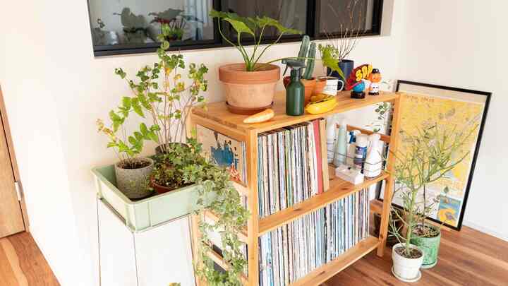 ナチュラルカラーのリビング、木製棚と多様な植物が配置された雰囲気のある空間