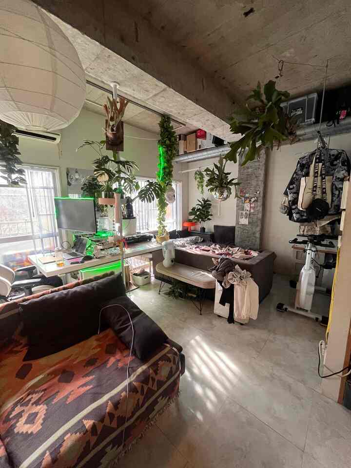 Natural tone studio apartment living and workspace featuring abundant leafy plants and cozy atmosphere