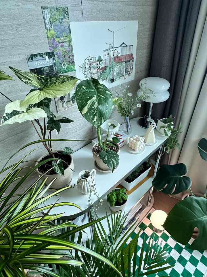 アパートプランテリア🪴
暑い天気の植物も疲れています。 
涼しい場所に一緒に集まりました。🌿

＃グリーンインテリア＃アパートガーデン＃植民地時代＃グリーンテリア＃プランター
#interior #interiordesign #interiordecor #interiorlove #cosyhome #livingroom #livingroomdesign
#livingroomdecor #designinspiration
#homedecor #midcenturymodern #homedecoration
#cornerofmyhome #darkacademia #cosy #lights #apartmenttherapy #apartment