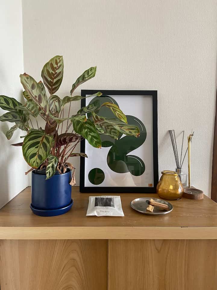 NEW poster🫑✨✨✨

#interior #midcentury #midcenturymodern 
#marketb#lowya #ikea #bauhouse #1dk 
 #インテリア #リビング #生活感のある暮らし 
#ミッドセンチュリー #ミッドセンチュリーモダン 
#テレワーク #在宅勤務 #在宅ワーク#一人暮らし#ひとり暮らし