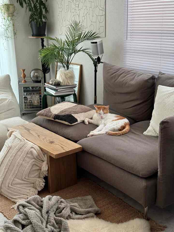 Calm brown and ivory toned living room with a simple natural atmosphere, featuring a brown sofa with a cat resting on it