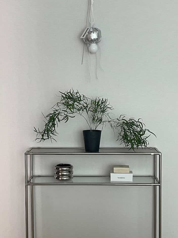 シルバーのステンレス製コンソールと上に置かれた緑の植物が配置された、白壁のモダンでミニマルな玄関のインテリア