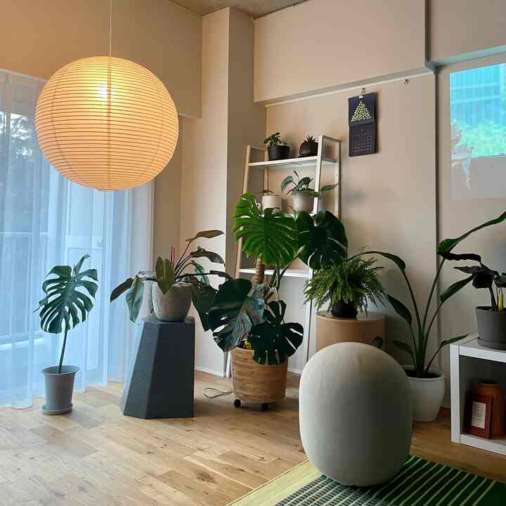 Natural modern living room in warm beige and white tones, featuring an oval mini stool and various indoor green plants centrally arranged