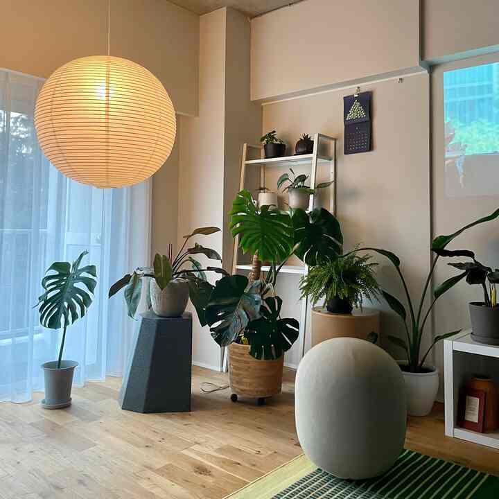 MALLOW MINI KNIT joins the group as a newcomer⚪️
The MINI size and oval roundness blend in well
The shadows in my house, which is relatively dark with little lighting, are also nice

#andmedical #mallowminiknit
#renovation #マンションリノベーション #howwelive #mylvngrm
#apartmenttherapy #apartmentinterior
#interiordesign #interiordecor #interiorinspo
#interiorgreen #観葉植物