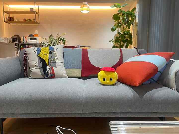 #リビングソファ #リビング小物 

くじ引きでゲットしたフエキくん、可愛すぎてリビングにずっといる。