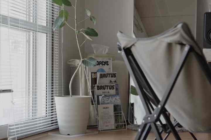 お気に入りの雑誌は何度も何度も読み返す、のでBRUTUSみたいなタイプの雑誌はどんどんボロボロになる笑
どうしたらいいんだろう🤔

#雑誌 #ブラインド #植物のある生活 #観葉植物
#マガジンラック #雑誌収納