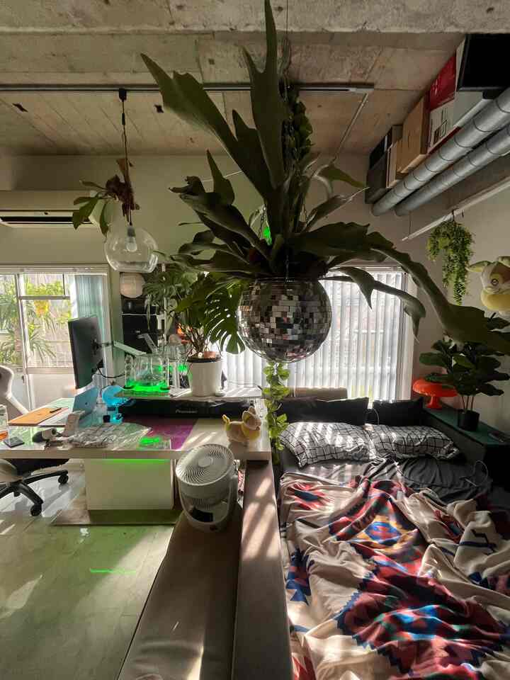 This is Sabuaka.

The lighting is lovely and I'm in a good mood. It's hot so I'm staying indoors again today.

#rental #ワンルーム #観葉植物 #信じられないIKEA率 #IKEA #リノベーション
