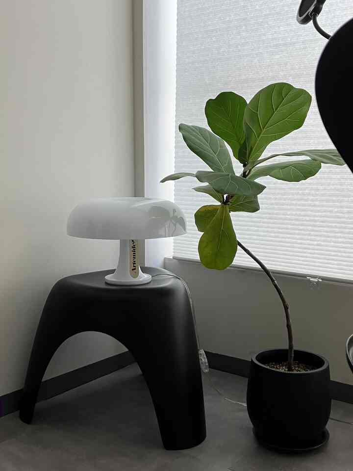 The arch of the elephant stool's legs looks great 🐘
#Sori Yanagi #Vitra