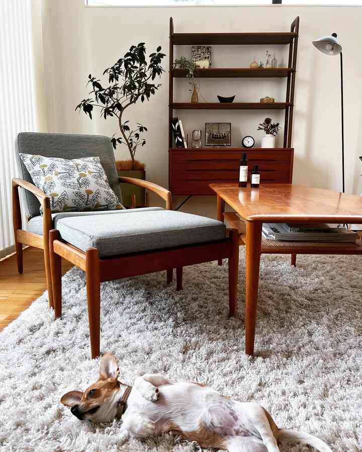 Bright wood tones and gray fabric armchair, ottoman, and coffee table arranged in a neat, natural-feeling two-person living room