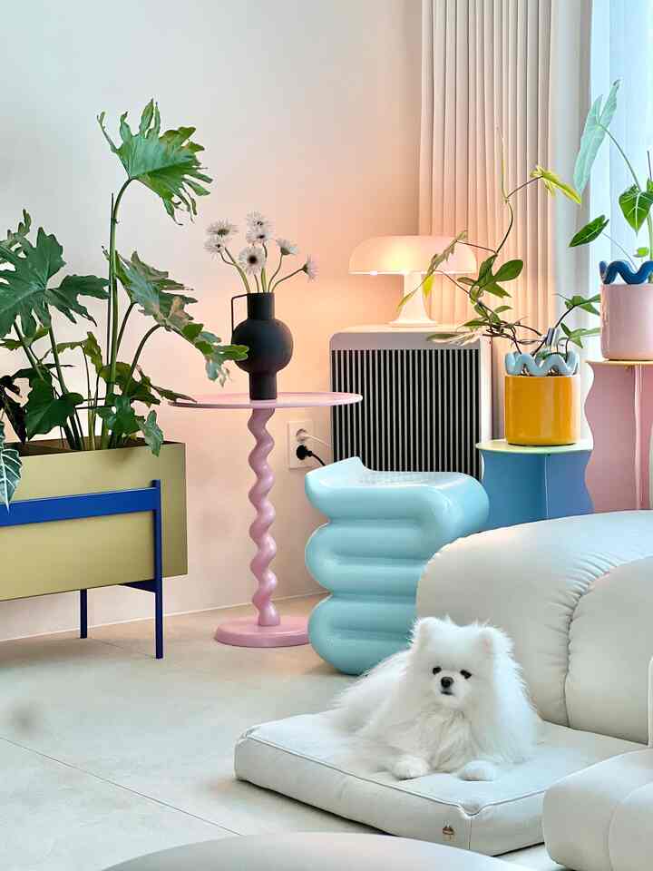 White and pastel-tone living room featuring a small white dog on a cushion, plants, and colorful side tables with a cozy atmosphere